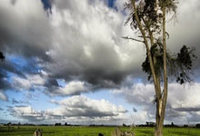 开云体育-斯旺西主帅展望新赛季，力争赢得更多比赛